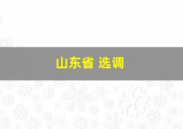 山东省 选调